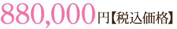 880,000円【税込価格】