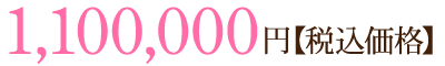 1,100,000円【税込価格】